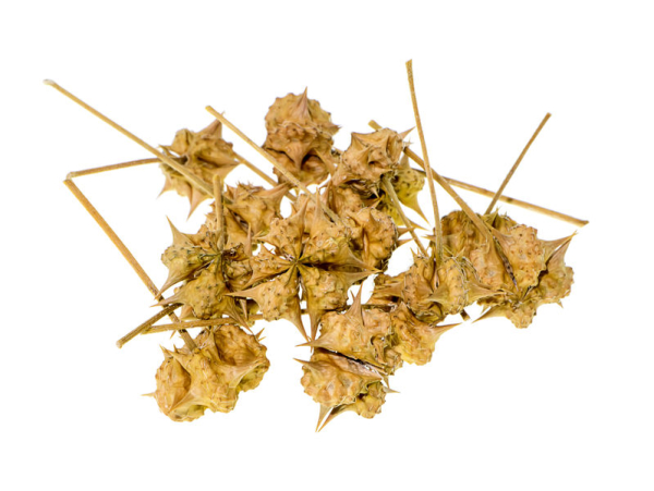 500g Gokshura Pulver (Tribulus terrestris)